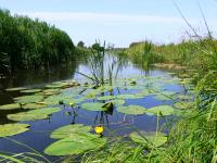 Waterschapsverkiezingen op 18 maart