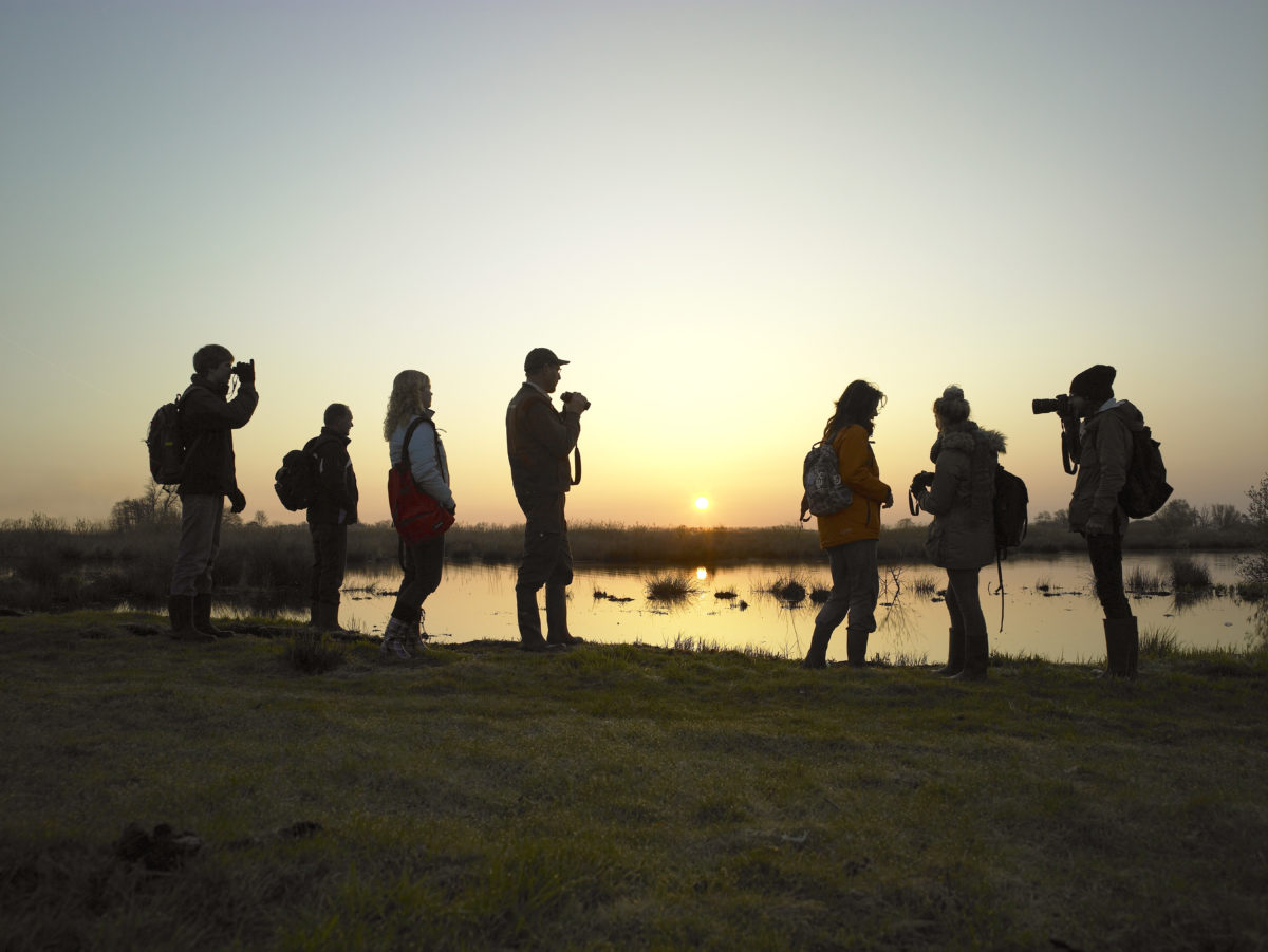 Nachtexcursie in de Oostvaardersplassen uit Voordeelagenda volgeboekt