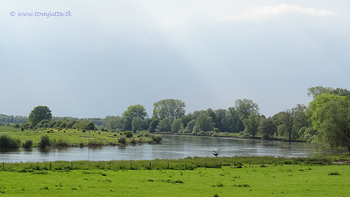 Protest tegen grootschalig kappen langs IJssel
