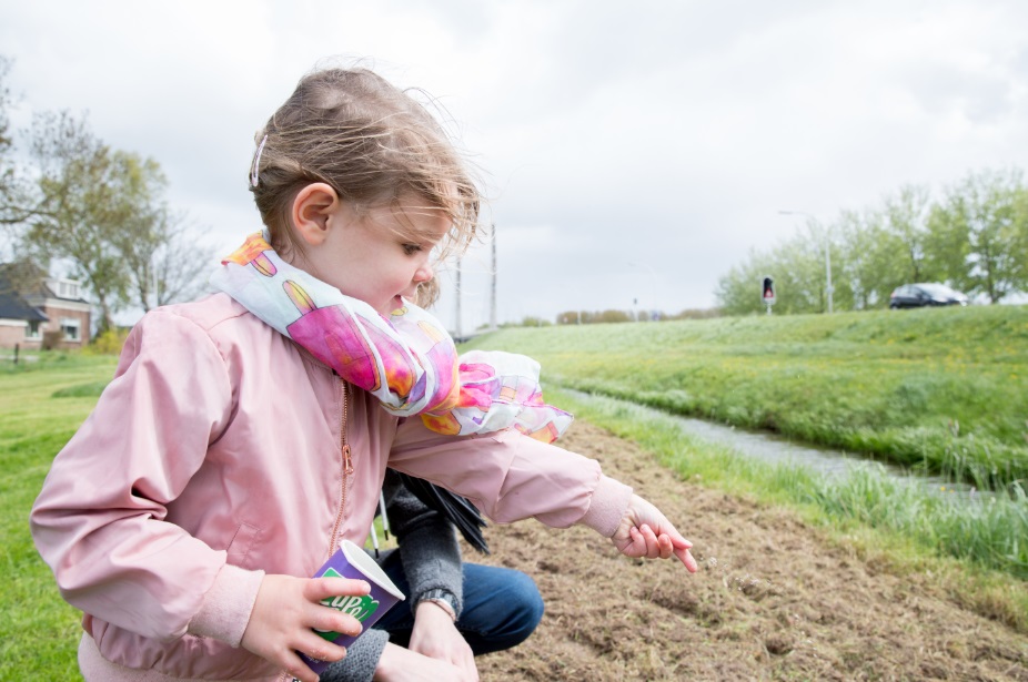 86 maatschappelijke locaties uit Zwolle doen mee aan het bloemenlint