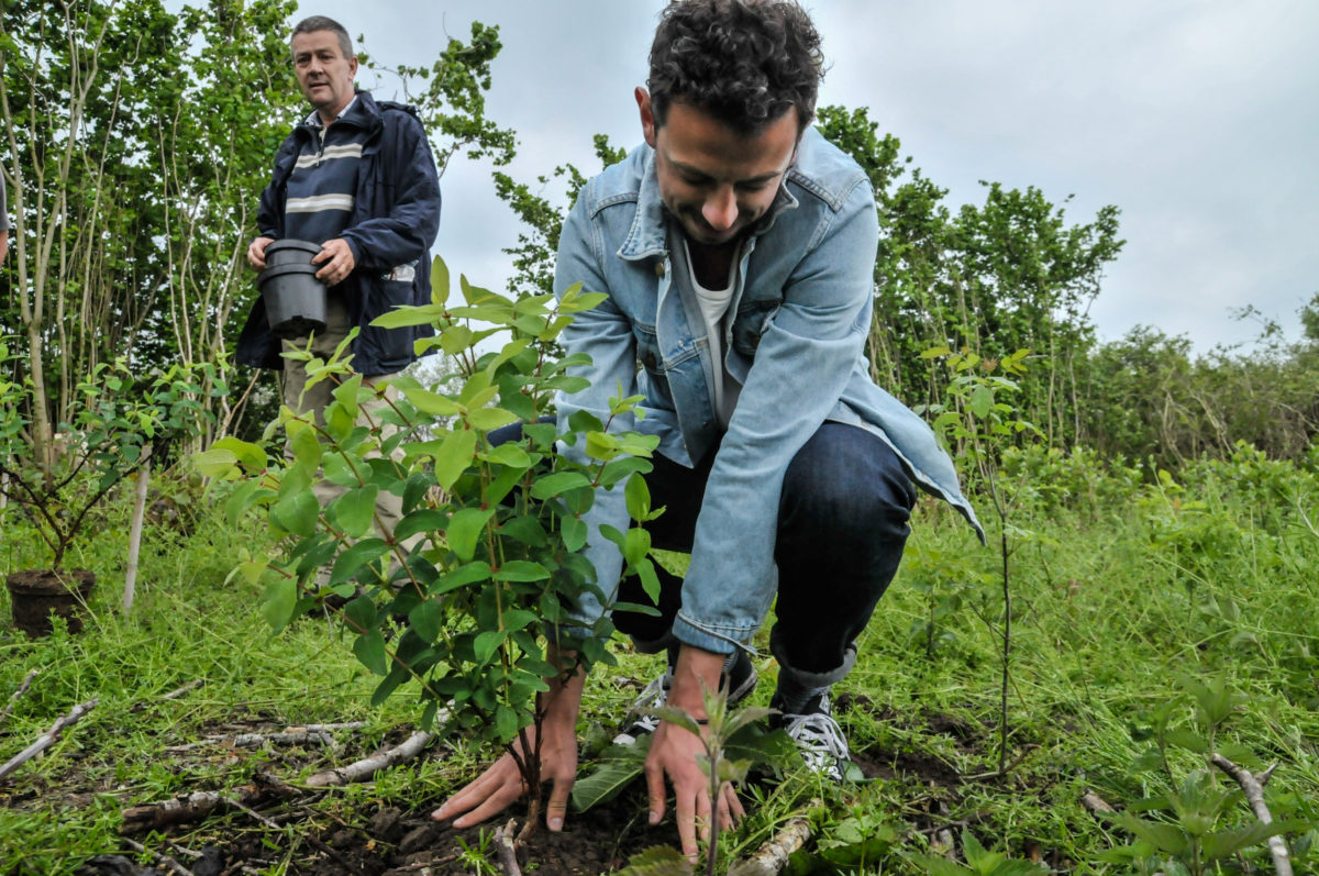 Werkplaats Voedselbossen Noord-Nederland opgericht
