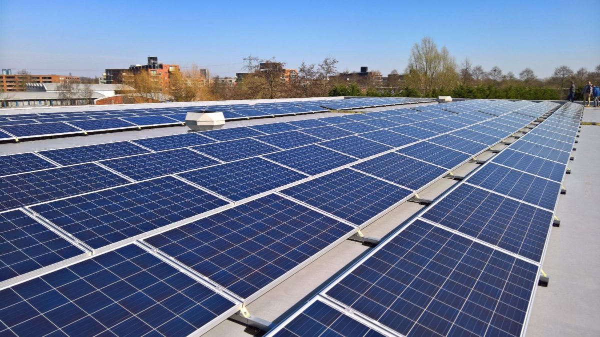 SolSolutions steunt de Natuur en Milieufederaties
