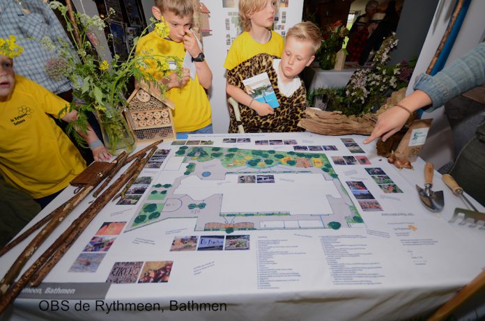 OBS de Rythmeen krijgt het groenste schoolplein van Overijssel