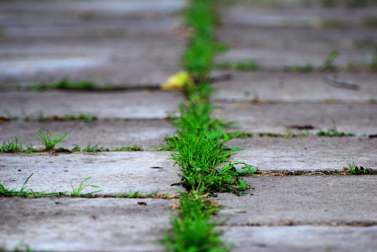 GNMF in klankbordgroep bestrijdingsmiddelen RIVM