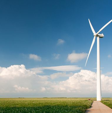 De Natuur en Milieufederaties over de monitor Wind op Land