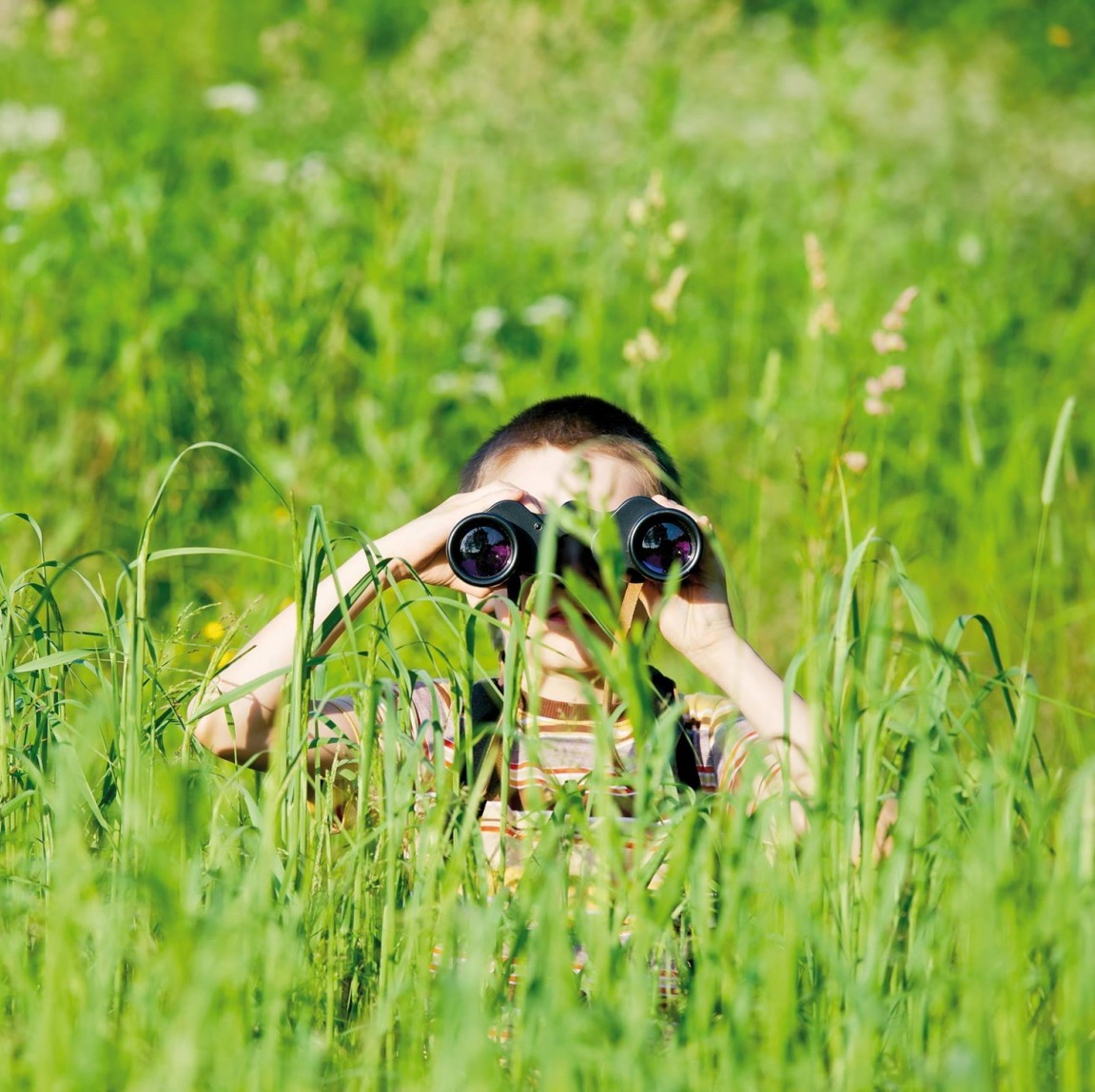 Natuur en Milieufederaties laten impact zien