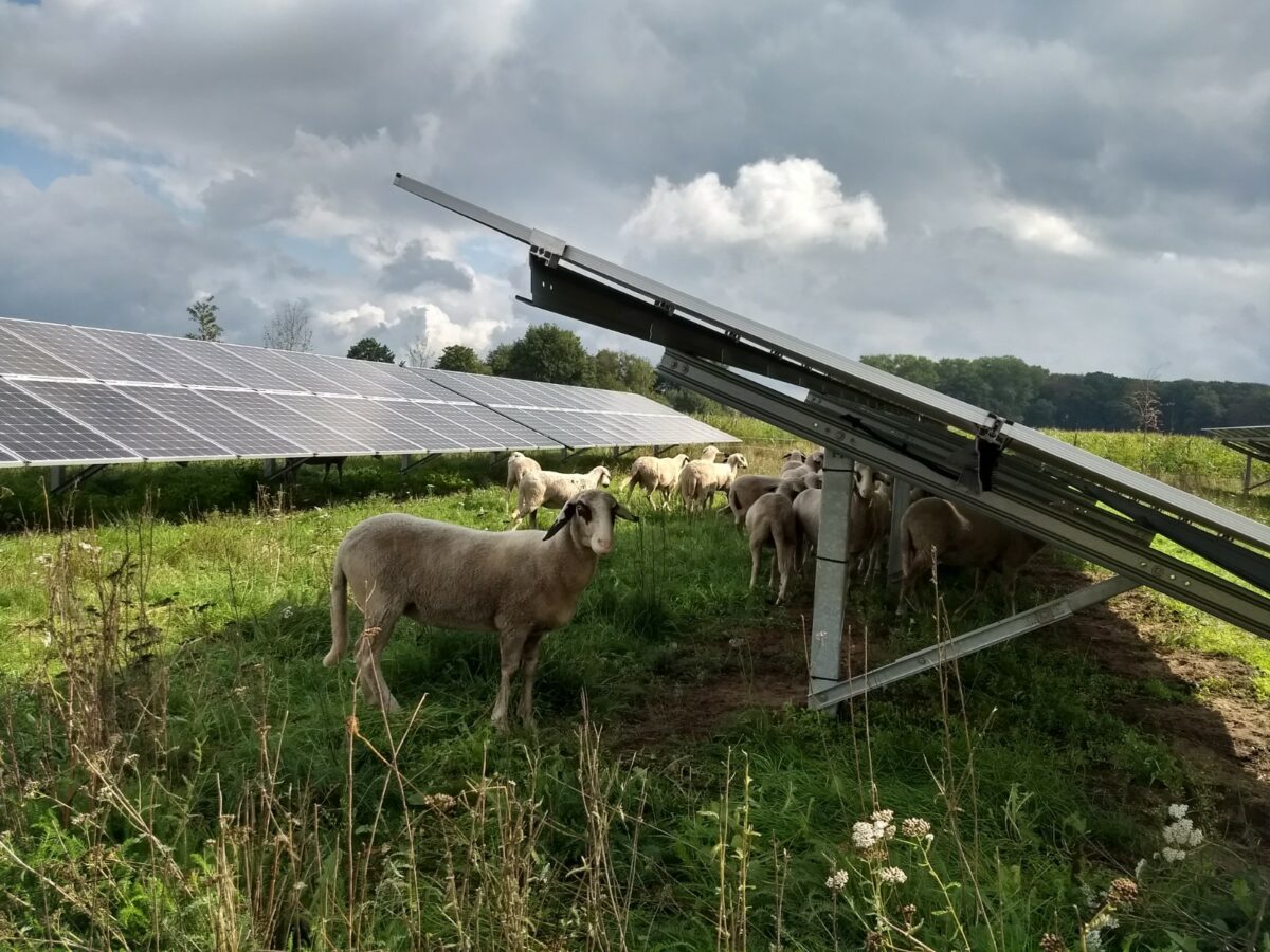 Constructieve zonneladder helpt overheden bij goede inpassing zonne-energie
