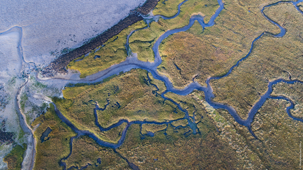 300.000 handtekeningen voor bescherming Europese wateren