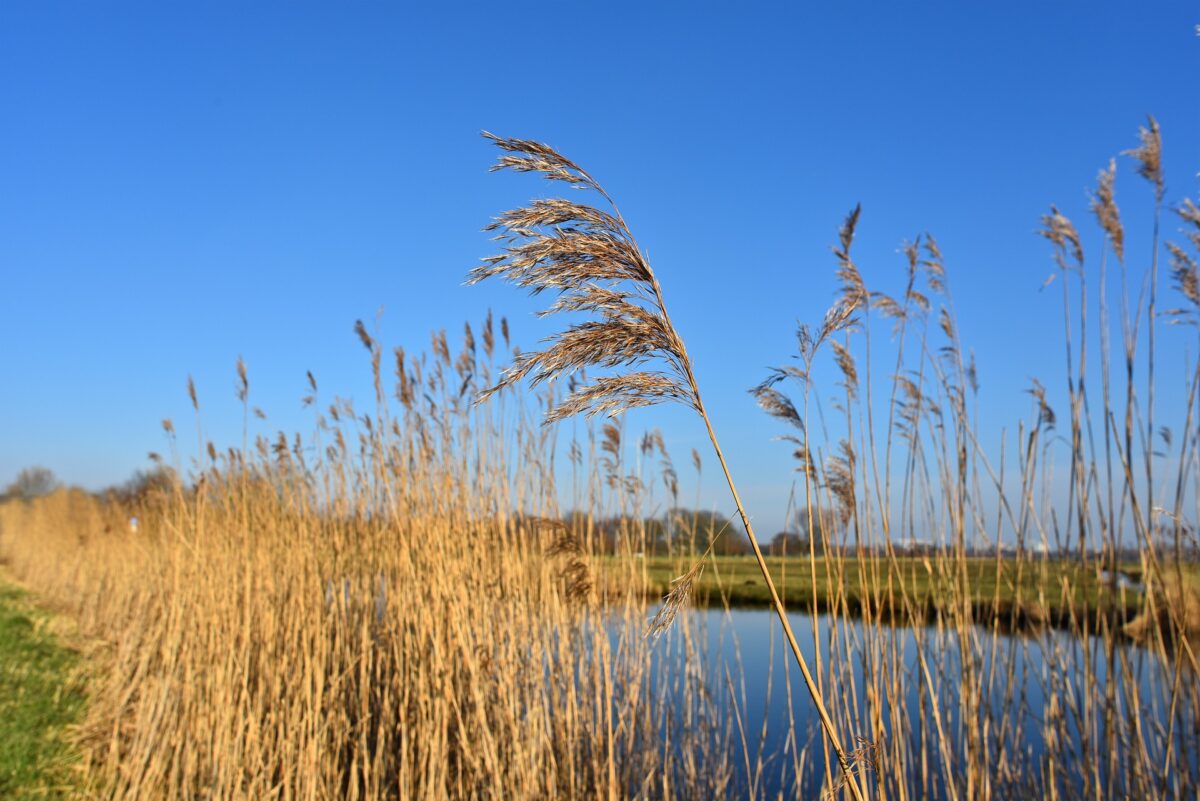 De Europese Waterwet blijft!