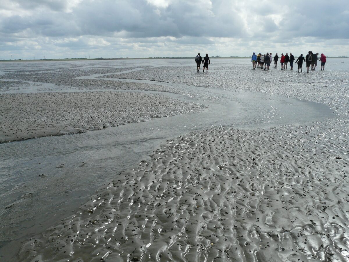 Oproep tegen uitbreiding gaswinning onder Waddenzee