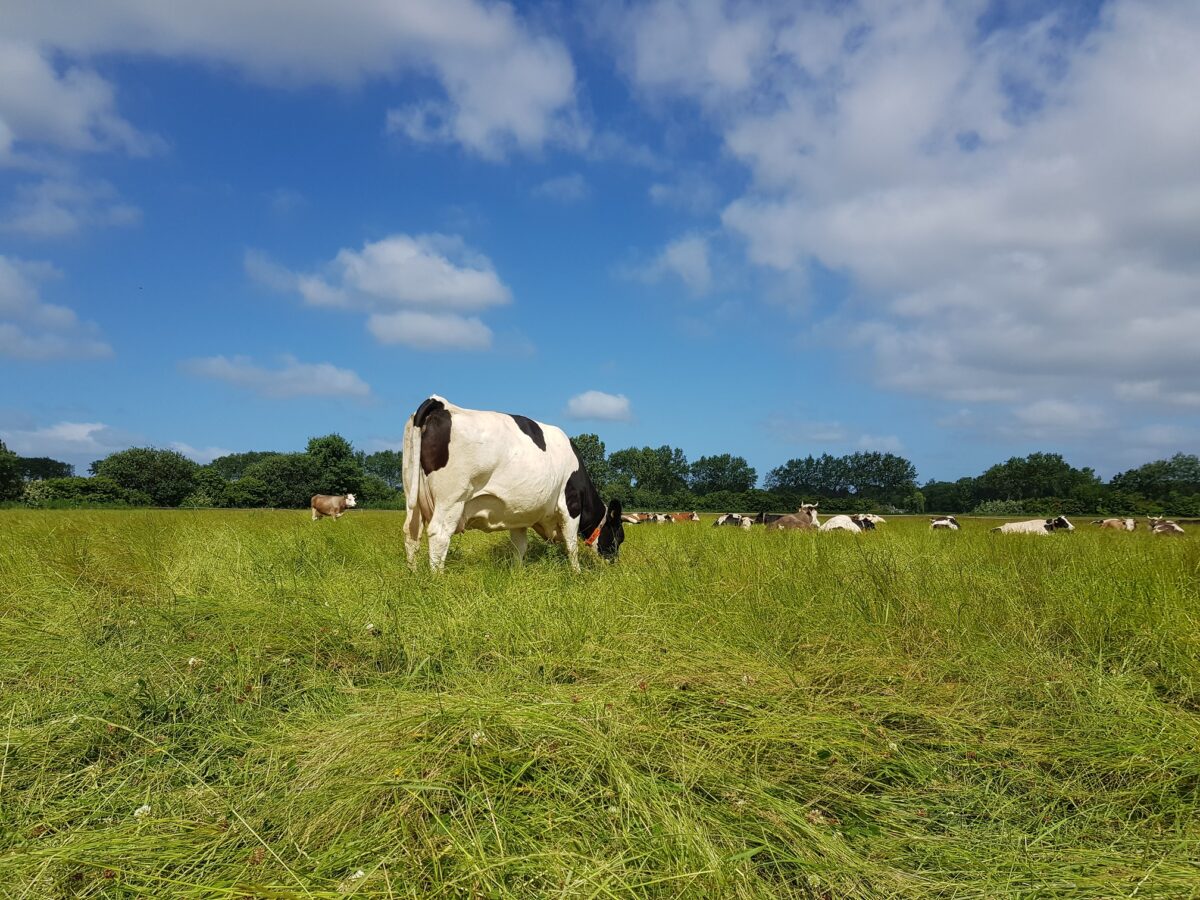 Duurzame Hollandse boeren op internationale landbouwbeurs
