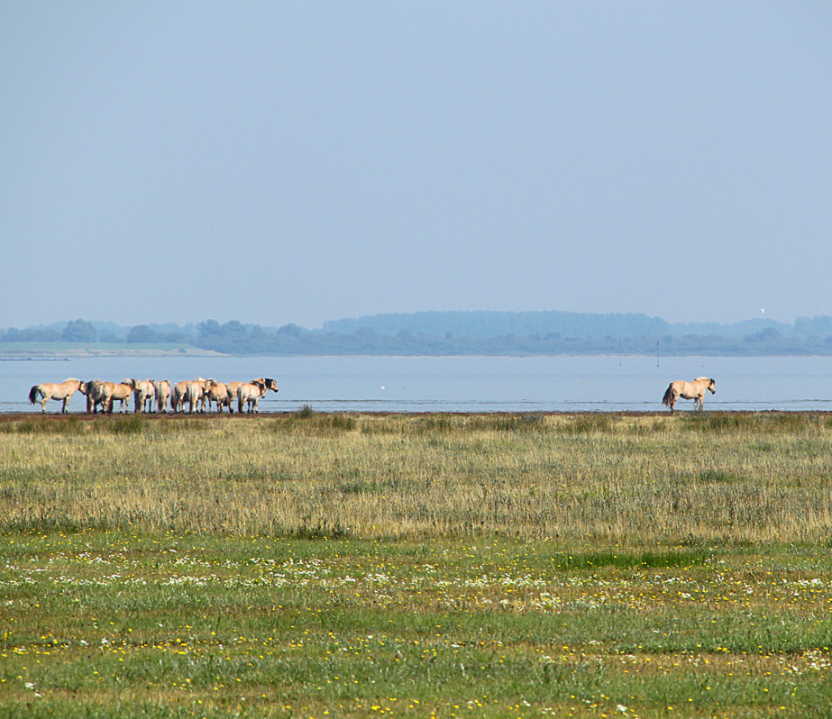 Zeeuwse Brouwerseiland van de baan
