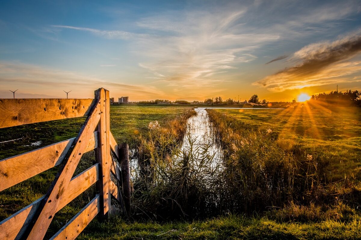 Stikstofcrisis als kans voor natuur en álle Nederlanders