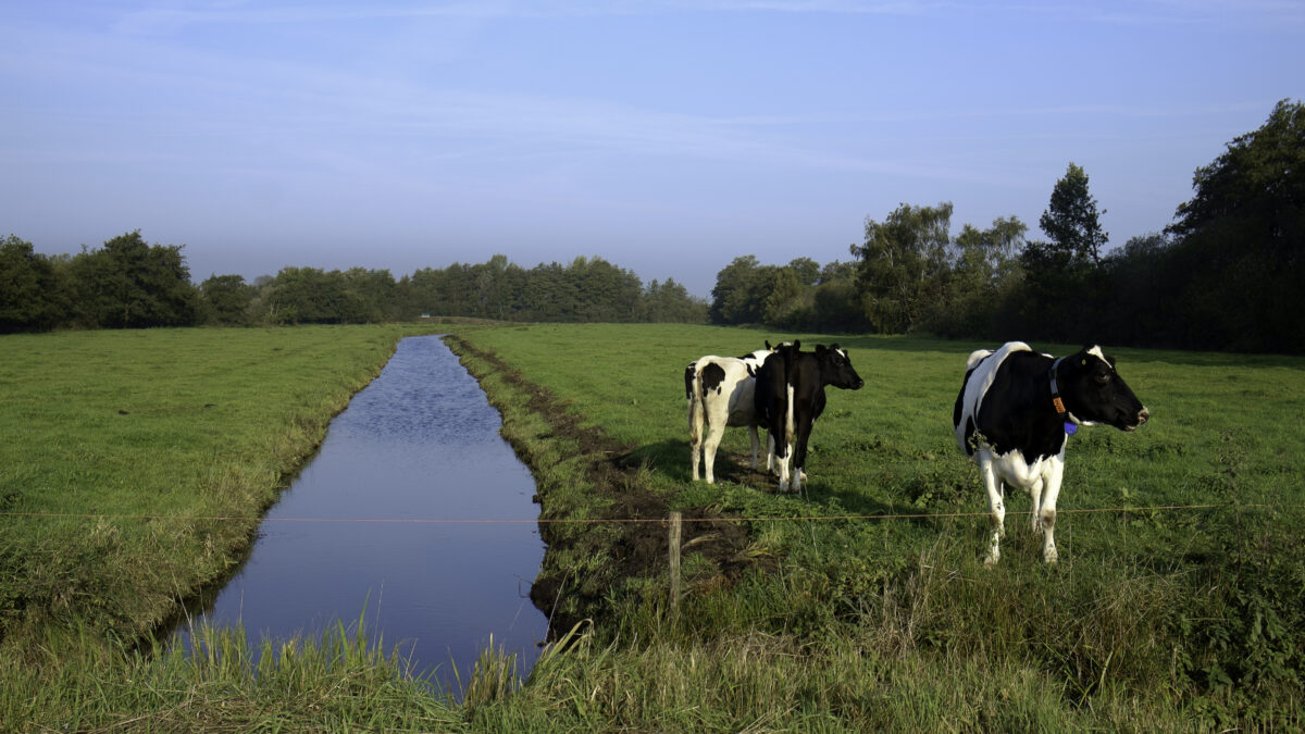 BNR radio bezoekt Valuta voor Veen project