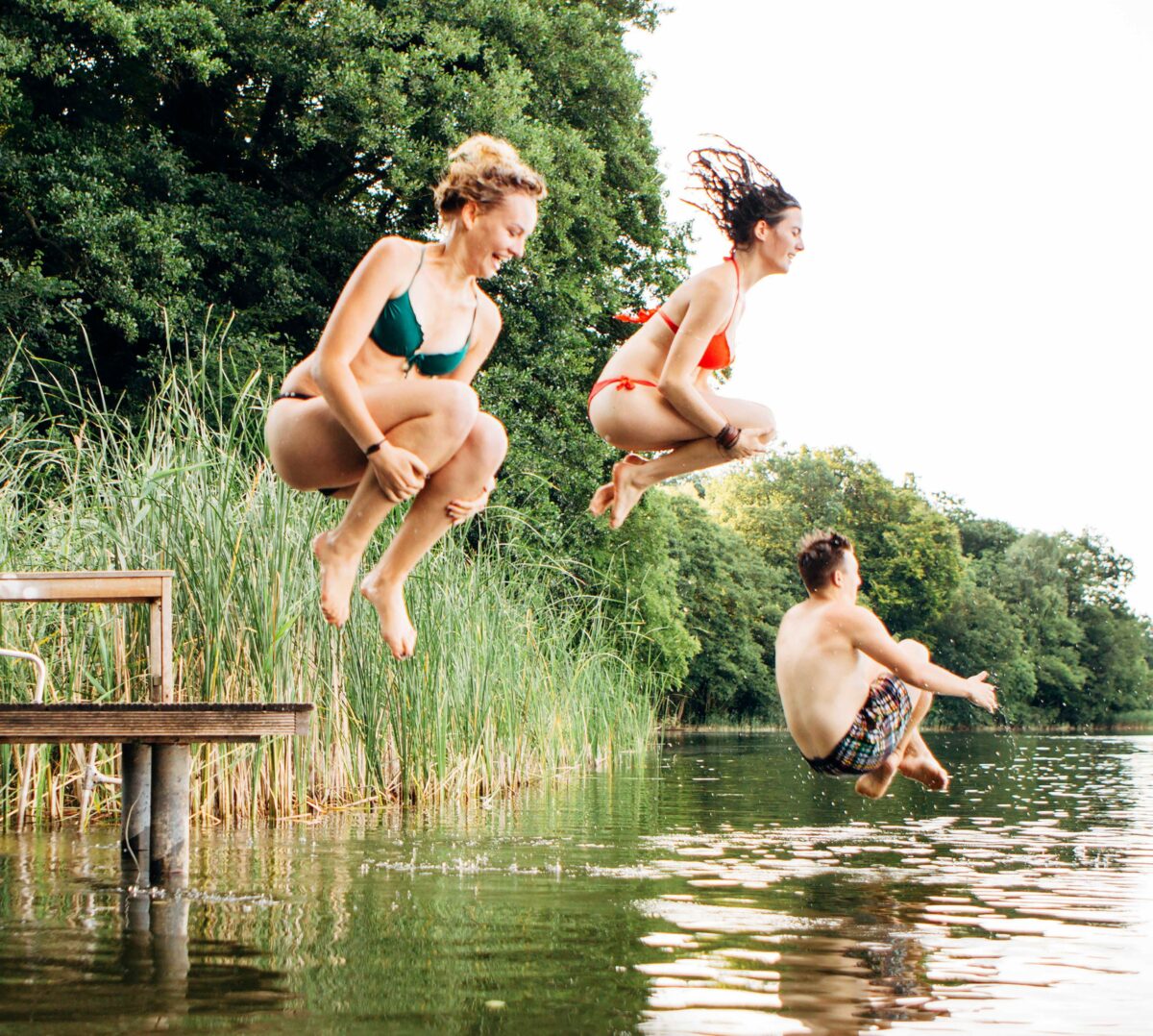 Friese campagne voor biodiversiteit van start