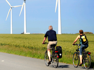 Checklist natuurbelangen bij Wind op land