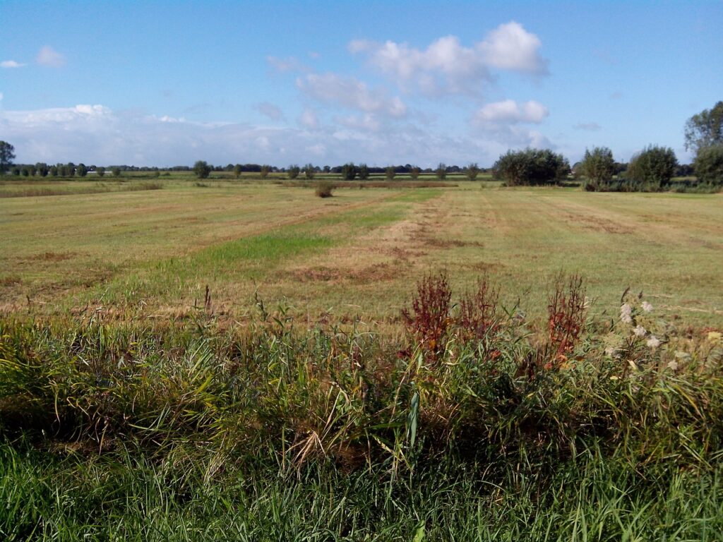 Natuurgebied Oudenbosch