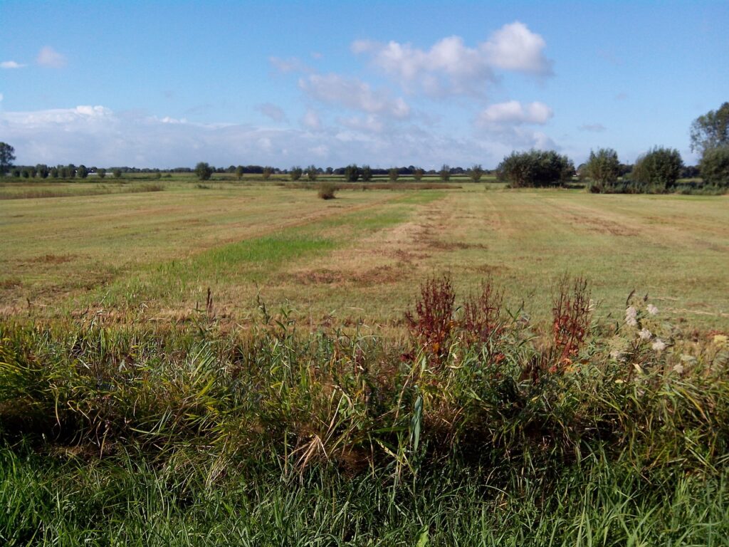 Natuurgebied Oudenbosch