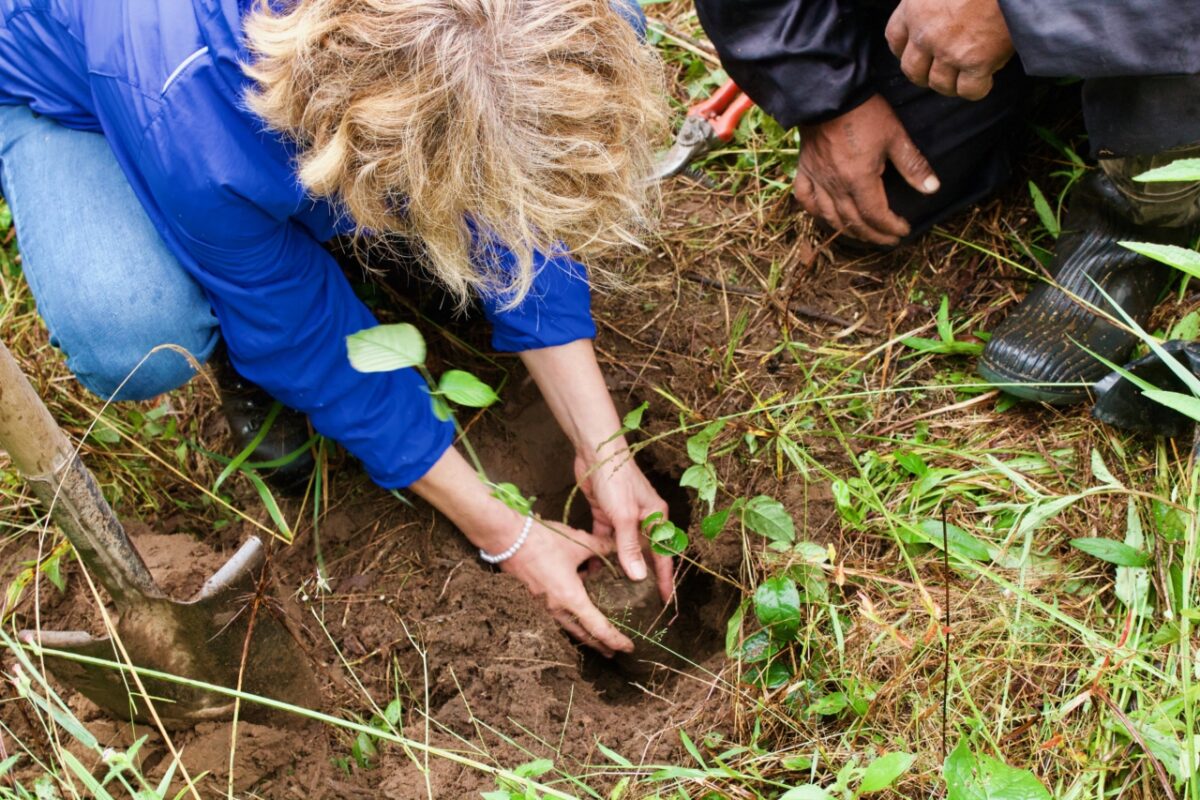 Kom bomen planten op 7 december!