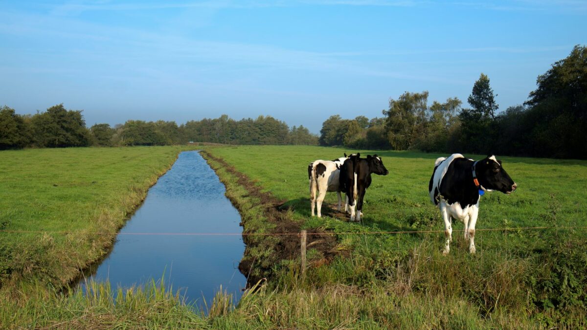 Eerste gecertificeerd CO2-reductieproject van start