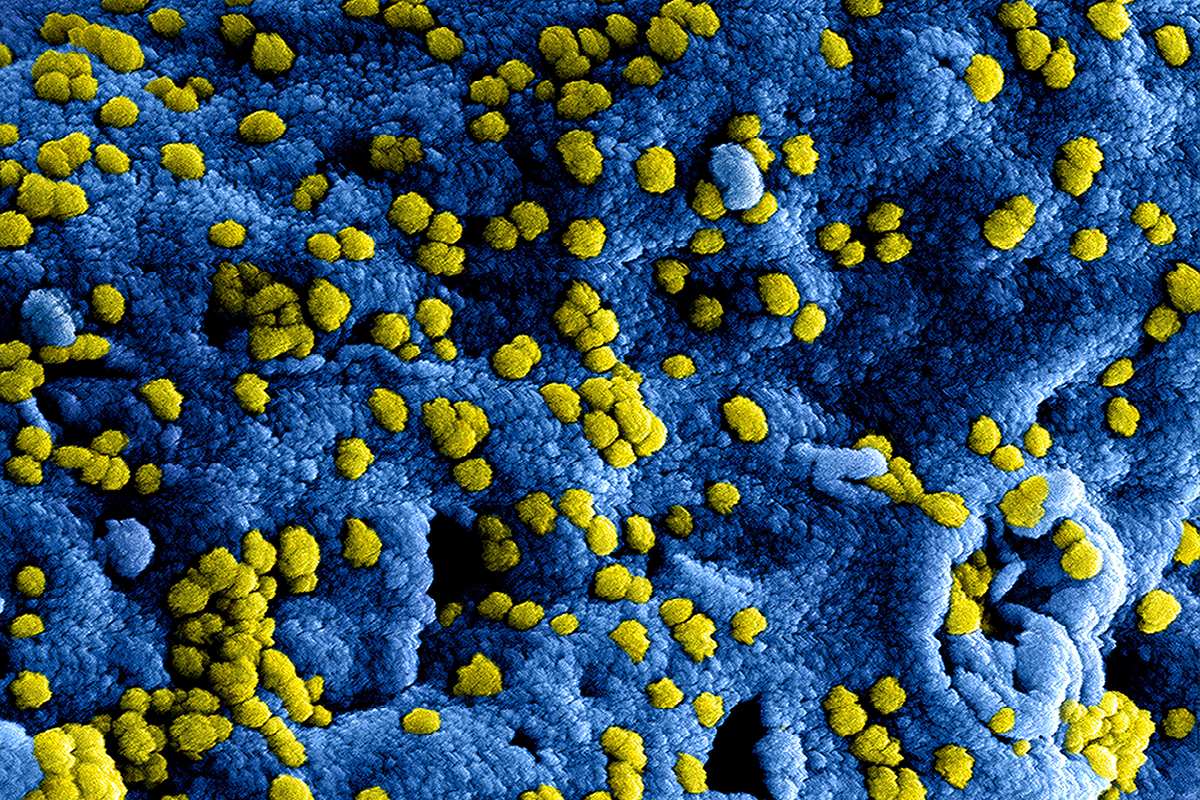Coronavirus | Natuur en Milieufederaties blijven bereikbaar