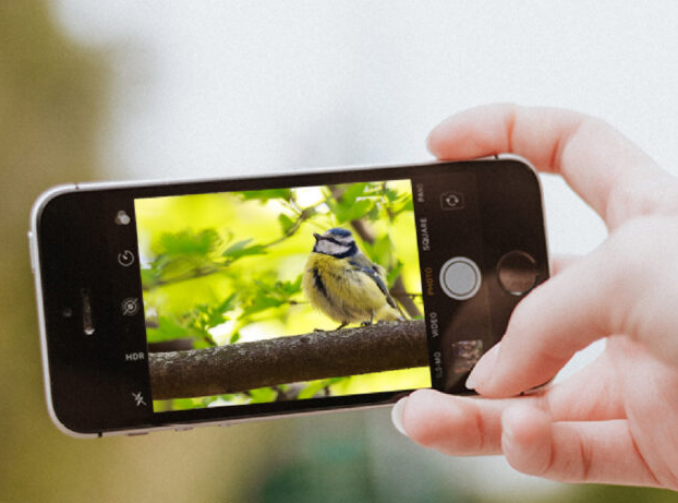 Doe mee met de #natuurdichtbij fotochallenge