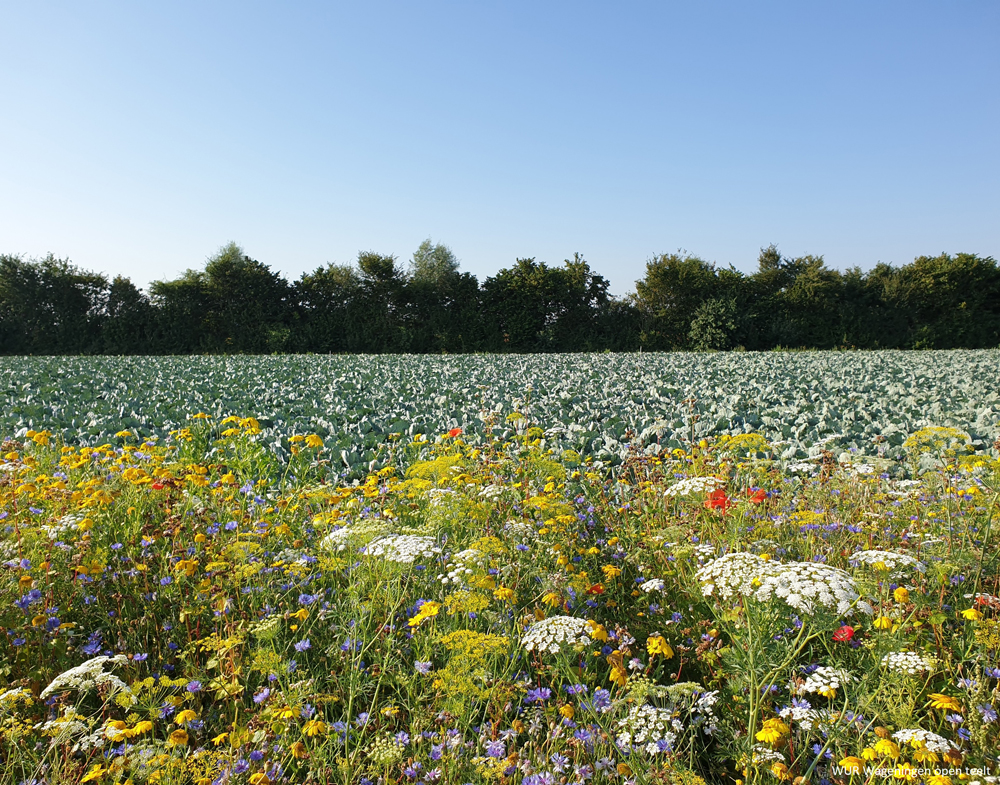 Webinar Natuurinclusieve Landbouw