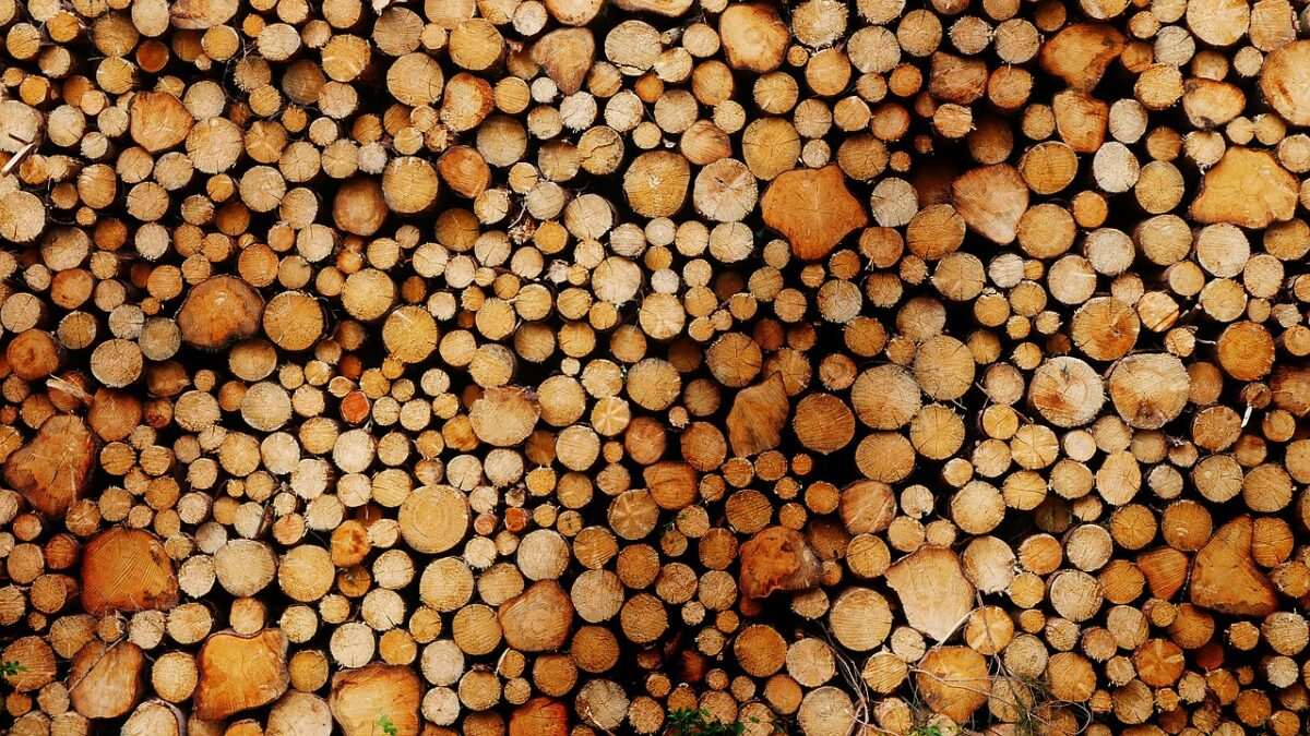 Oproep aan Wiebes: Stop per direct met de bijstook van biomassa in kolencentrales