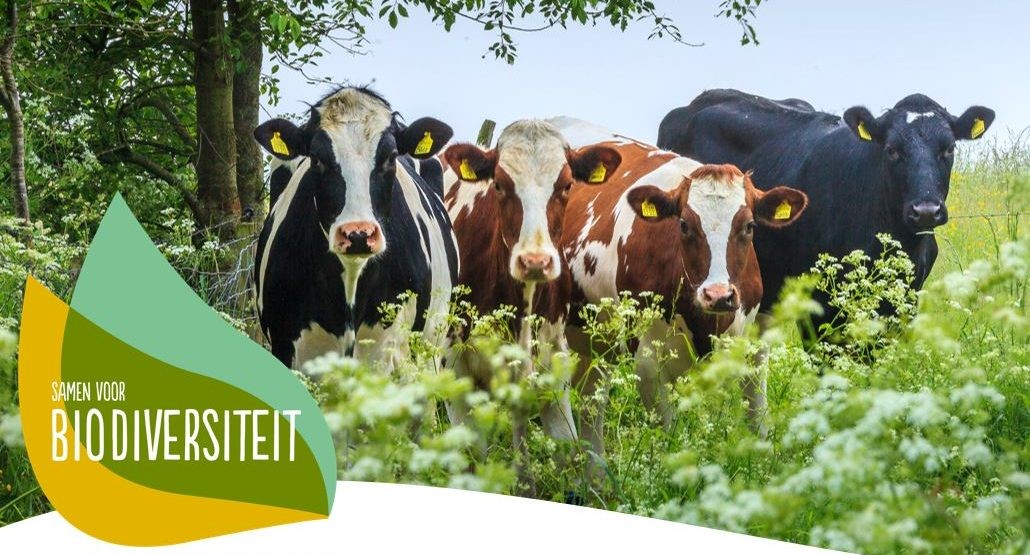 Deltaplan Biodiversiteitsherstel stimuleert acht innovatieve projecten