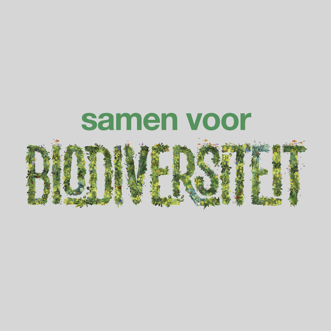 Campagne ‘Maak Grijs Groener’ brengt begrip biodiversiteit tot leven