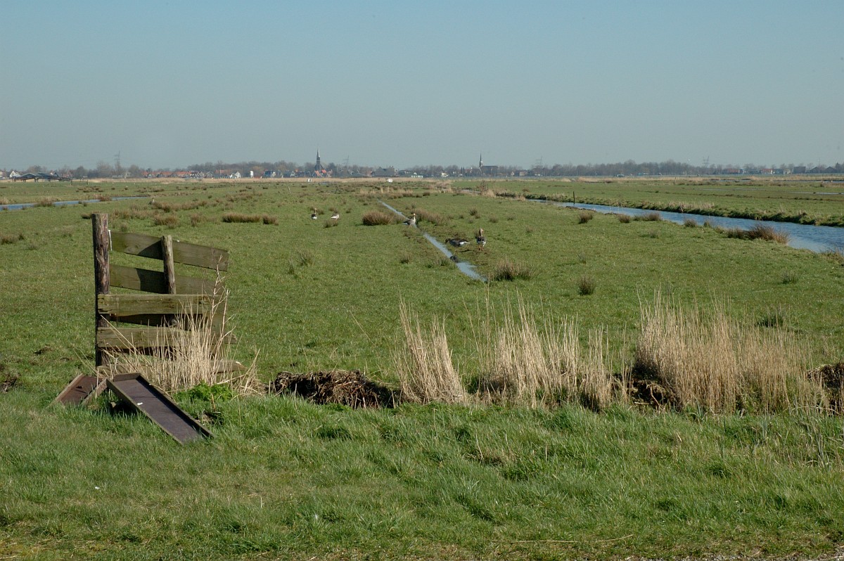 Aanbevelingen voor provincies over gebiedsgerichte aanpak stikstof