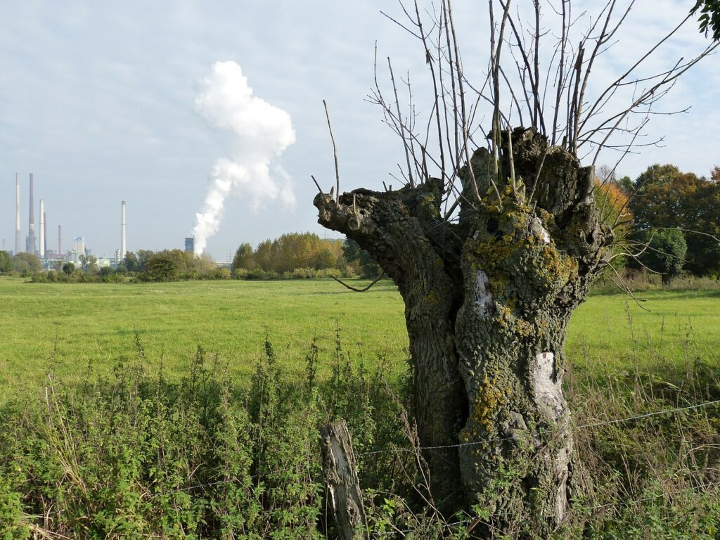 industrie natuur stikstof