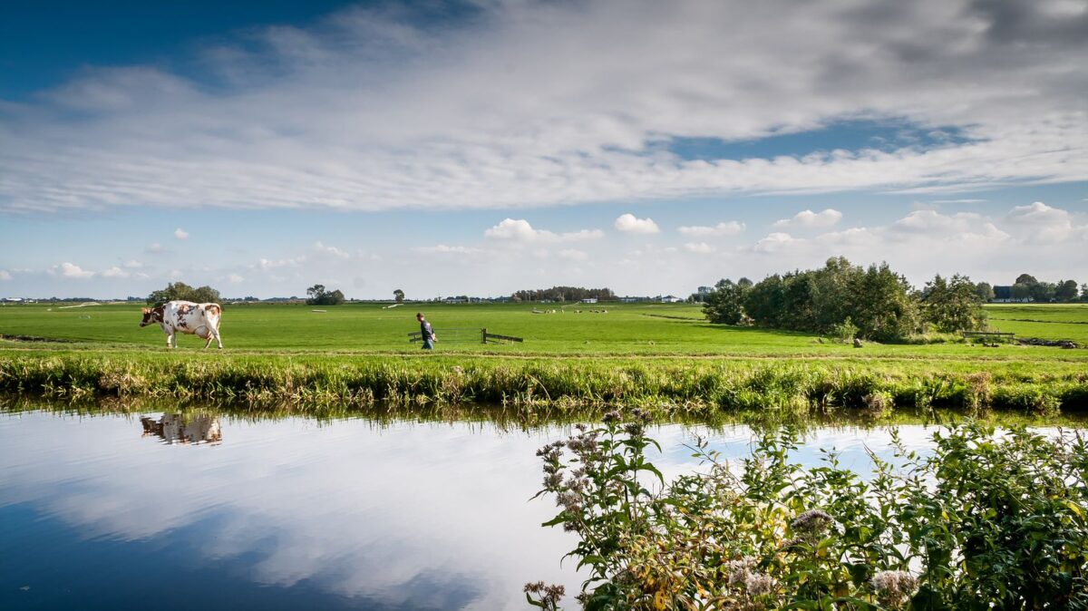 Natuur en Milieufederaties blij met voorstel voor gezamenlijke aanpak stikstof