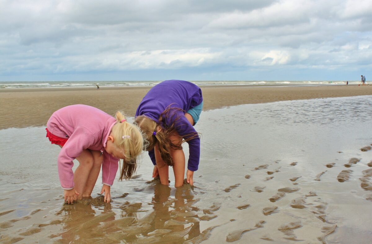 Ga je mee het wad op tijdens Dag en de Nacht van het Wad?