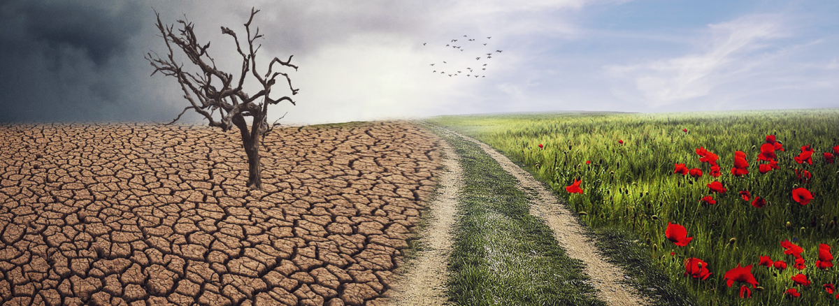 Natuur en Milieufederaties reageren op IPCC rapport