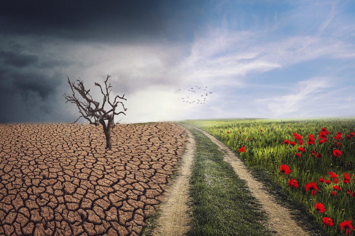 Schrijnend IPCC-rapport luidt noodklok voor het klimaat: we moeten nu in actie komen