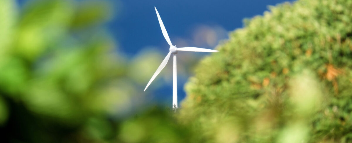 Doe mee met onze masterclasses over een natuurinclusieve energietransitie