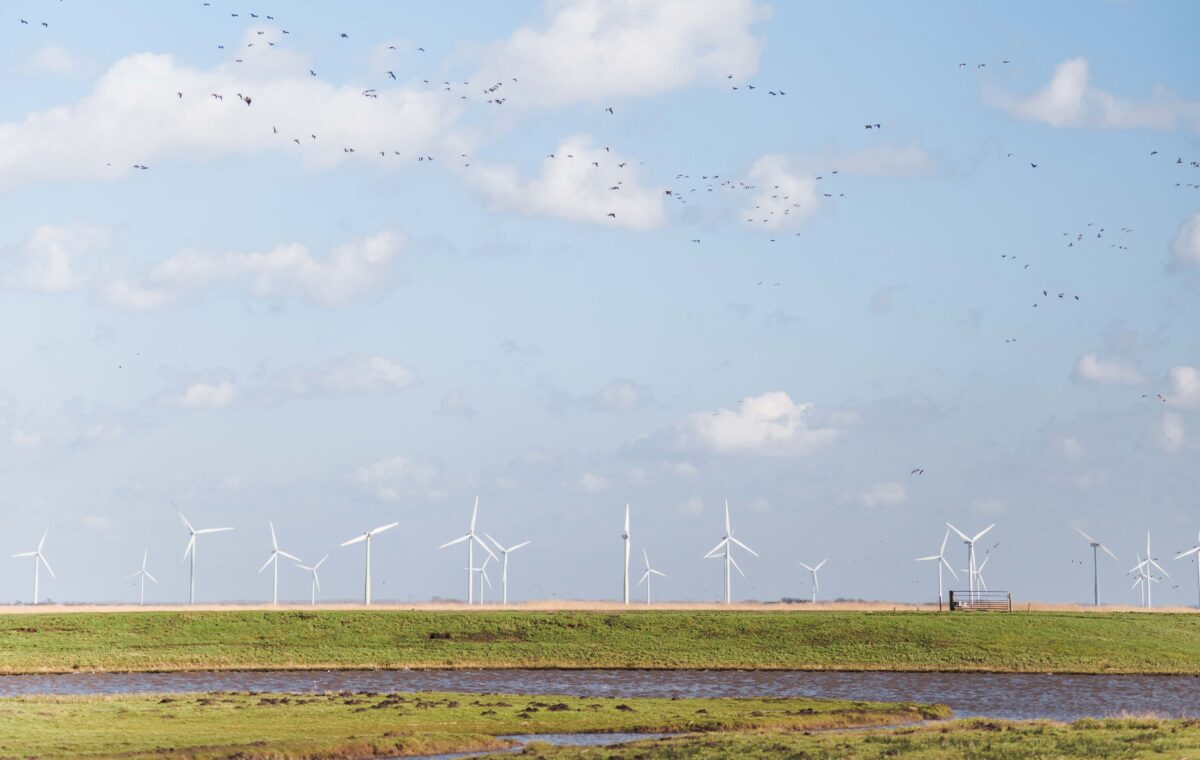 Website Iedereen Stroomopwaarts beantwoordt jouw vragen over de energietransitie