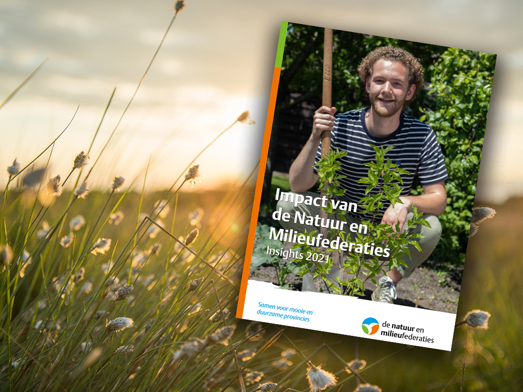 Deze impact maakten wij in 2021: bekijk hier ons Impactrapport