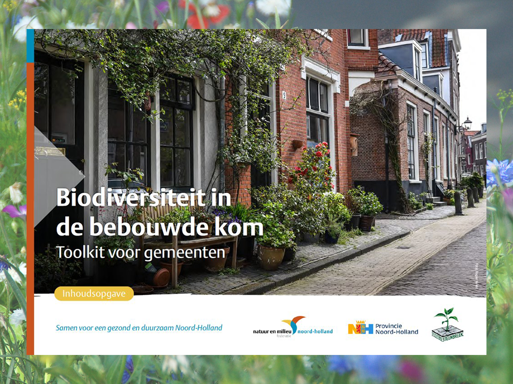 Met behulp van deze toolkit versterken gemeenten biodiversiteit in de bebouwde kom