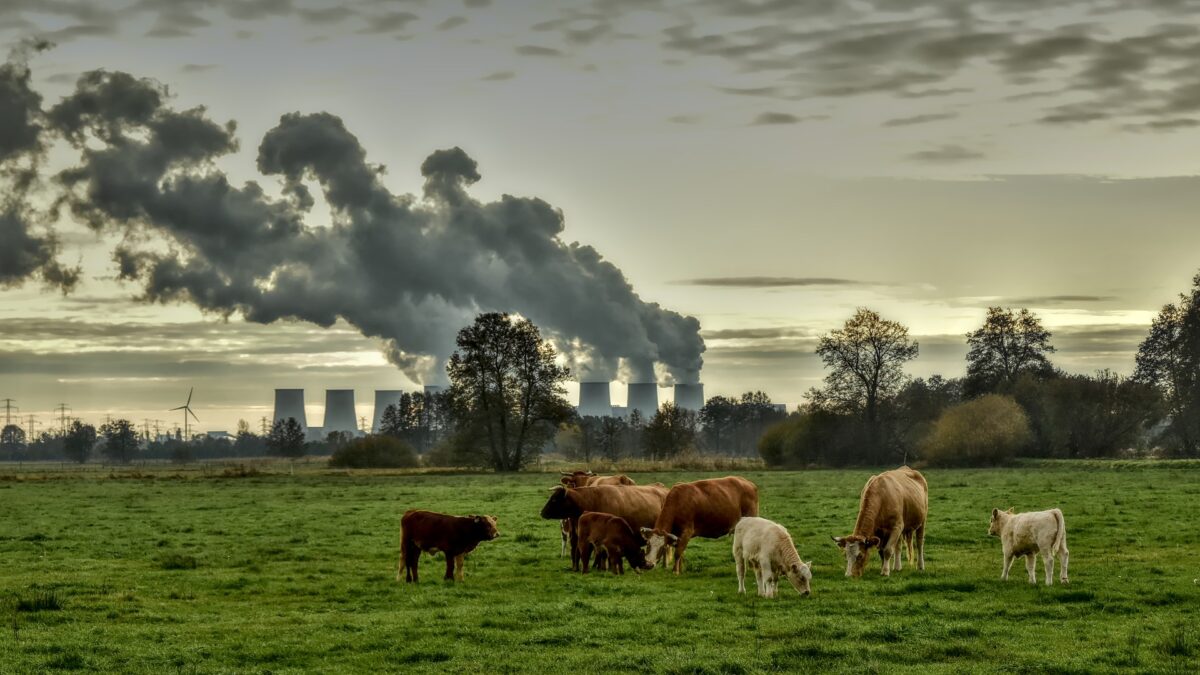 Kolencentrales mogen op volle toeren draaien van kabinet en dit is ons statement