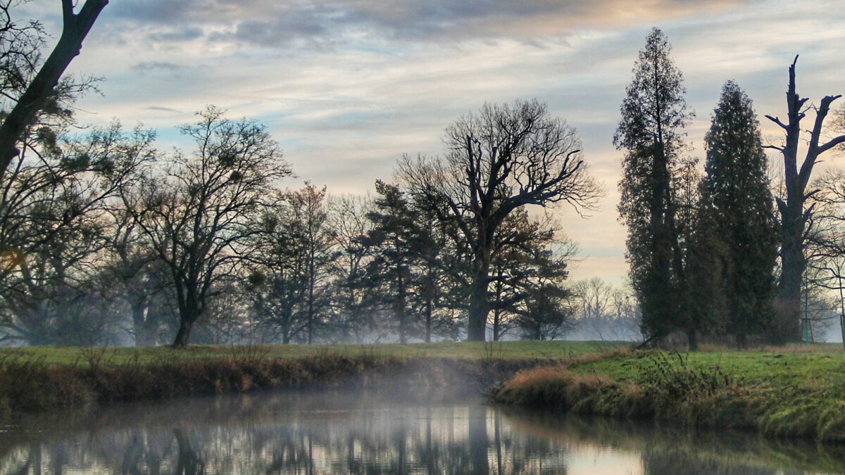 Steun natuurherstel en teken de petitie!