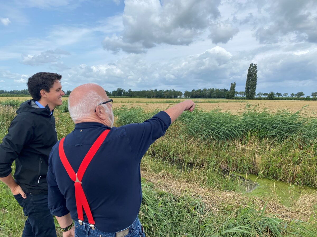 Energieboswachter in het zonnetje