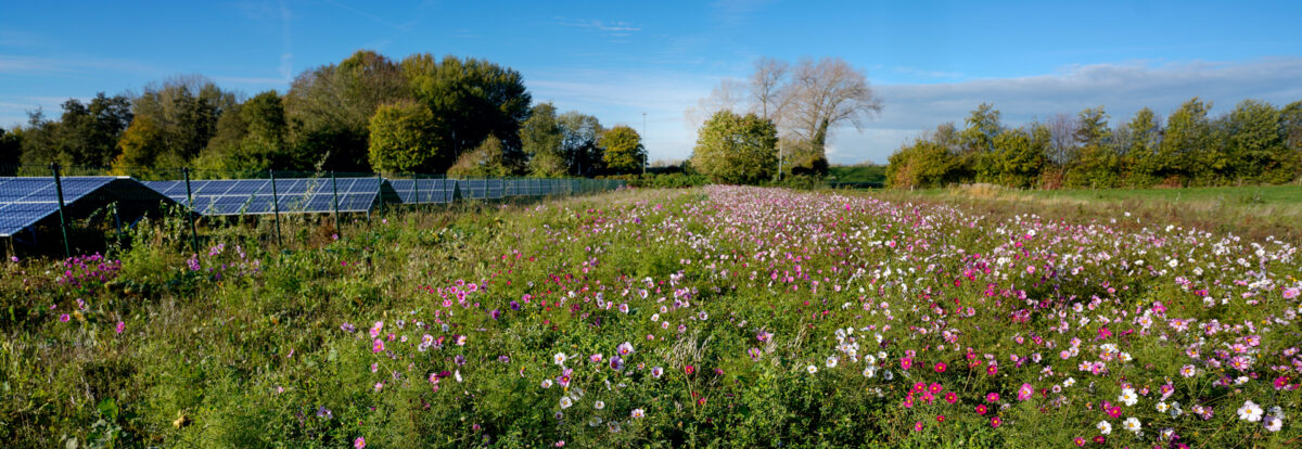 Blog | Onnatuurlijke elementen goed inpassen in het landschap: omarm de mantra