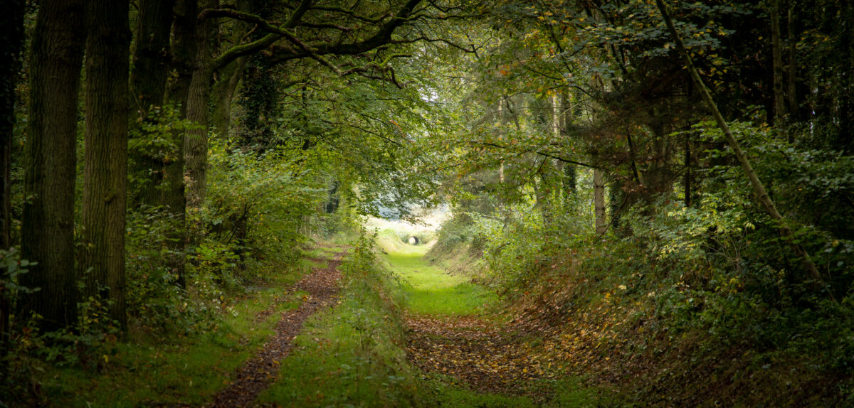 Natuurherstelwet definitief aangenomen door Europees Parlement