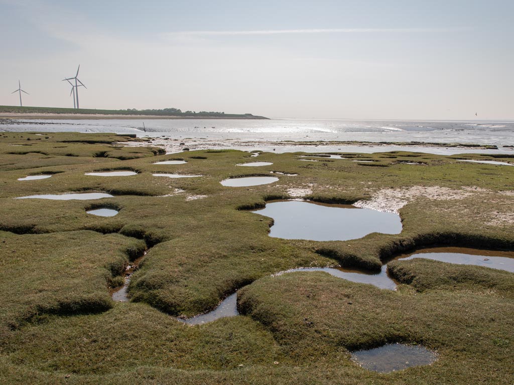 Vier Natuur- en Milieufederaties starten rechtszaak vanwege PFAS-vervuiling