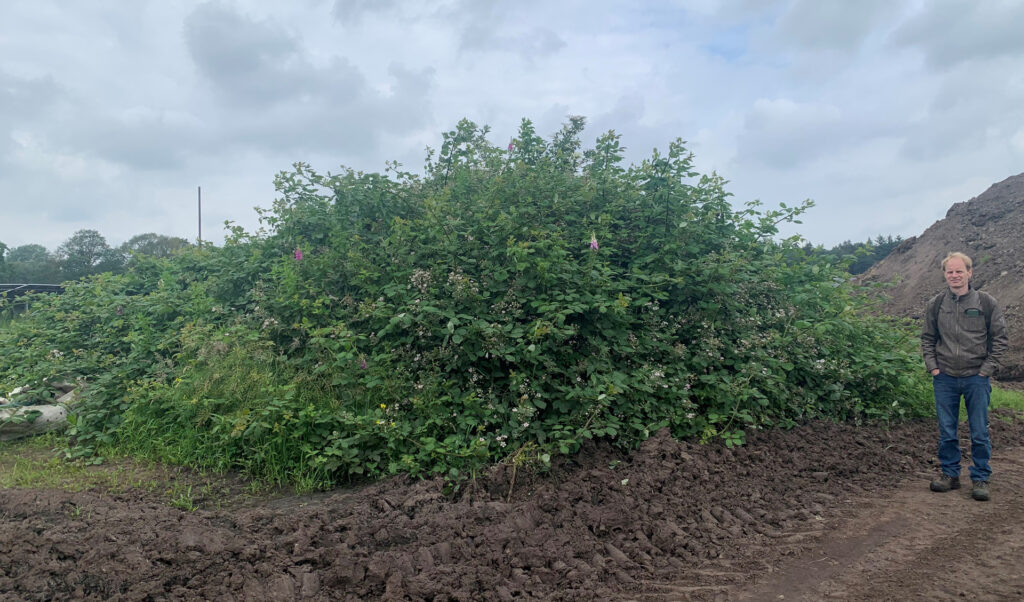 Foto: Remi van Beekum bij de met bramenstruiken begroeide berg in de Energietuin Assen-Zuid