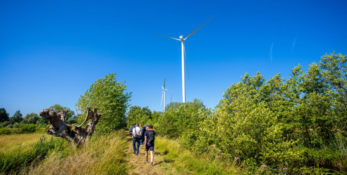 Sturen op natuurinclusieve wind- en zonneparken