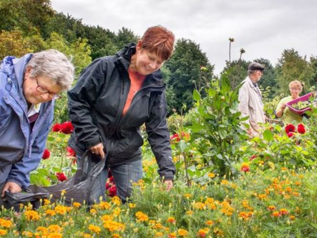 Groene Bondgenoten start ondersteuningstraject