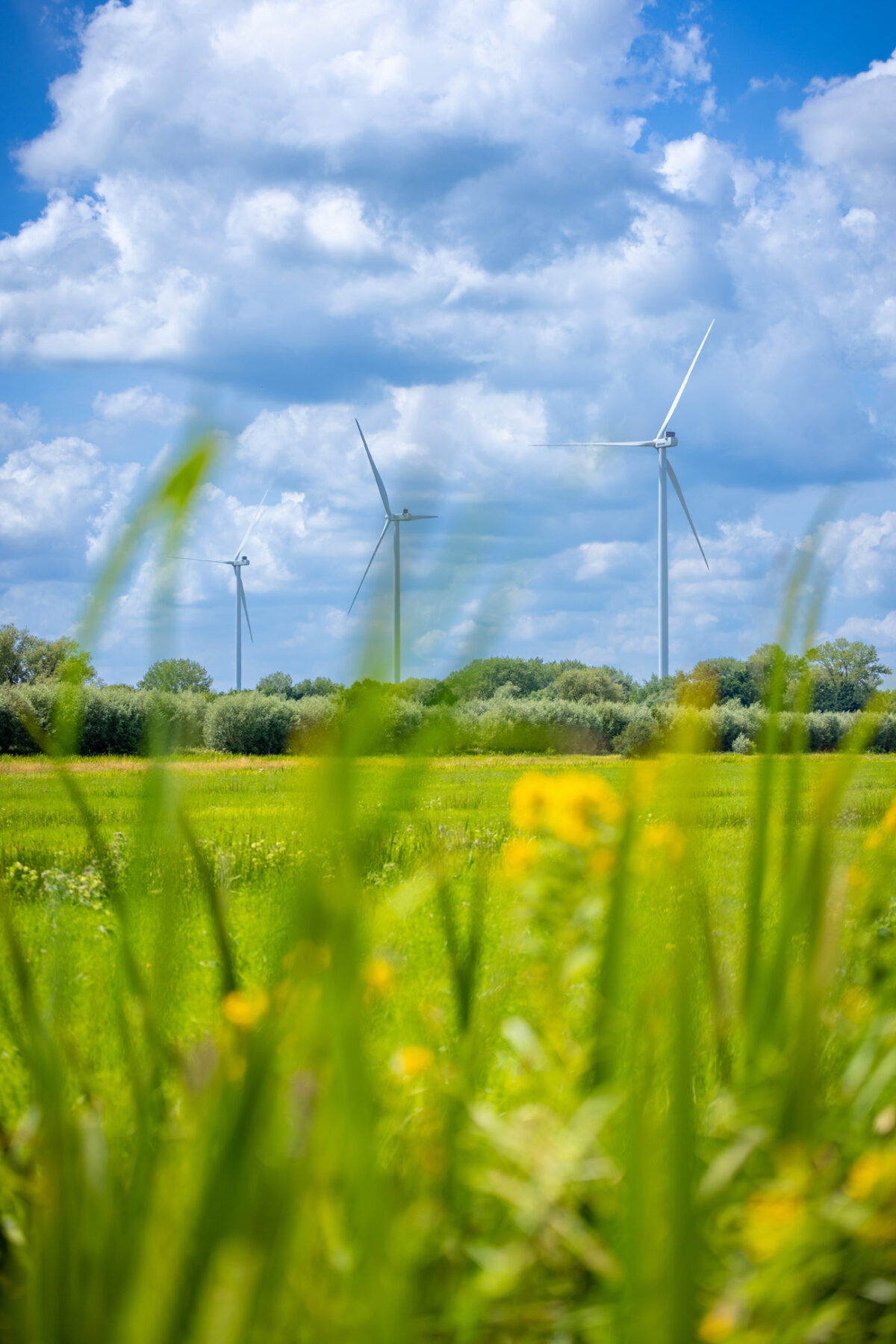 Blog | Nederland stevent af op een energiecrisis van eigen makelij